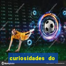 curiosidades do egito atual